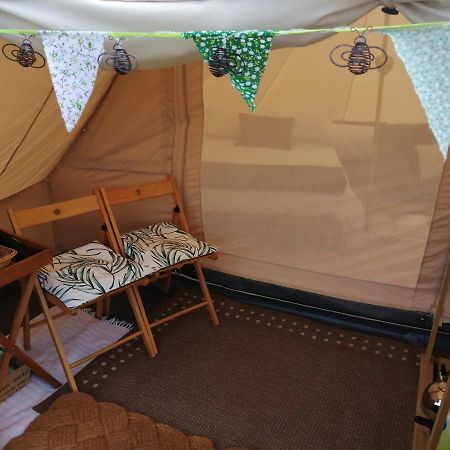 Coed Y Brenin Retreat - Bell Tent Glamping Near Aberaeron Ciliau-Aeron Εξωτερικό φωτογραφία