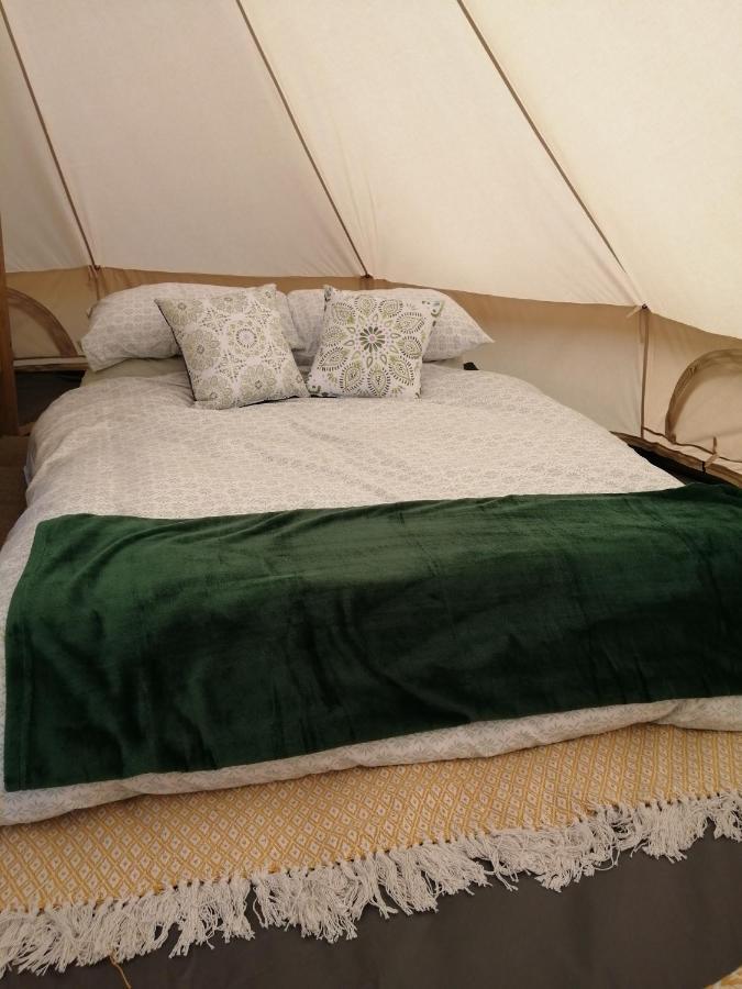 Coed Y Brenin Retreat - Bell Tent Glamping Near Aberaeron Ciliau-Aeron Εξωτερικό φωτογραφία