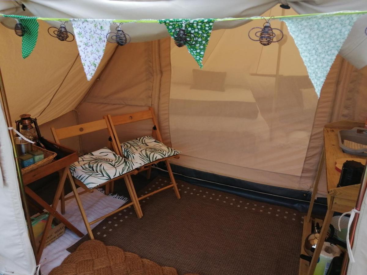 Coed Y Brenin Retreat - Bell Tent Glamping Near Aberaeron Ciliau-Aeron Εξωτερικό φωτογραφία