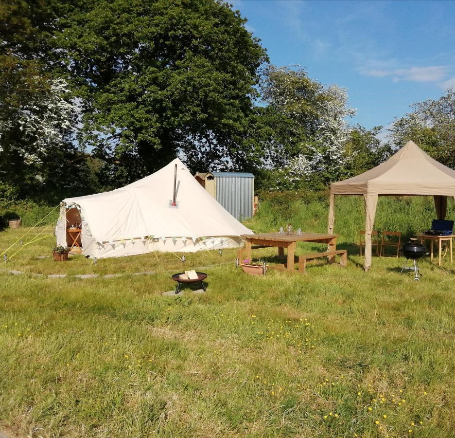 Coed Y Brenin Retreat - Bell Tent Glamping Near Aberaeron Ciliau-Aeron Εξωτερικό φωτογραφία