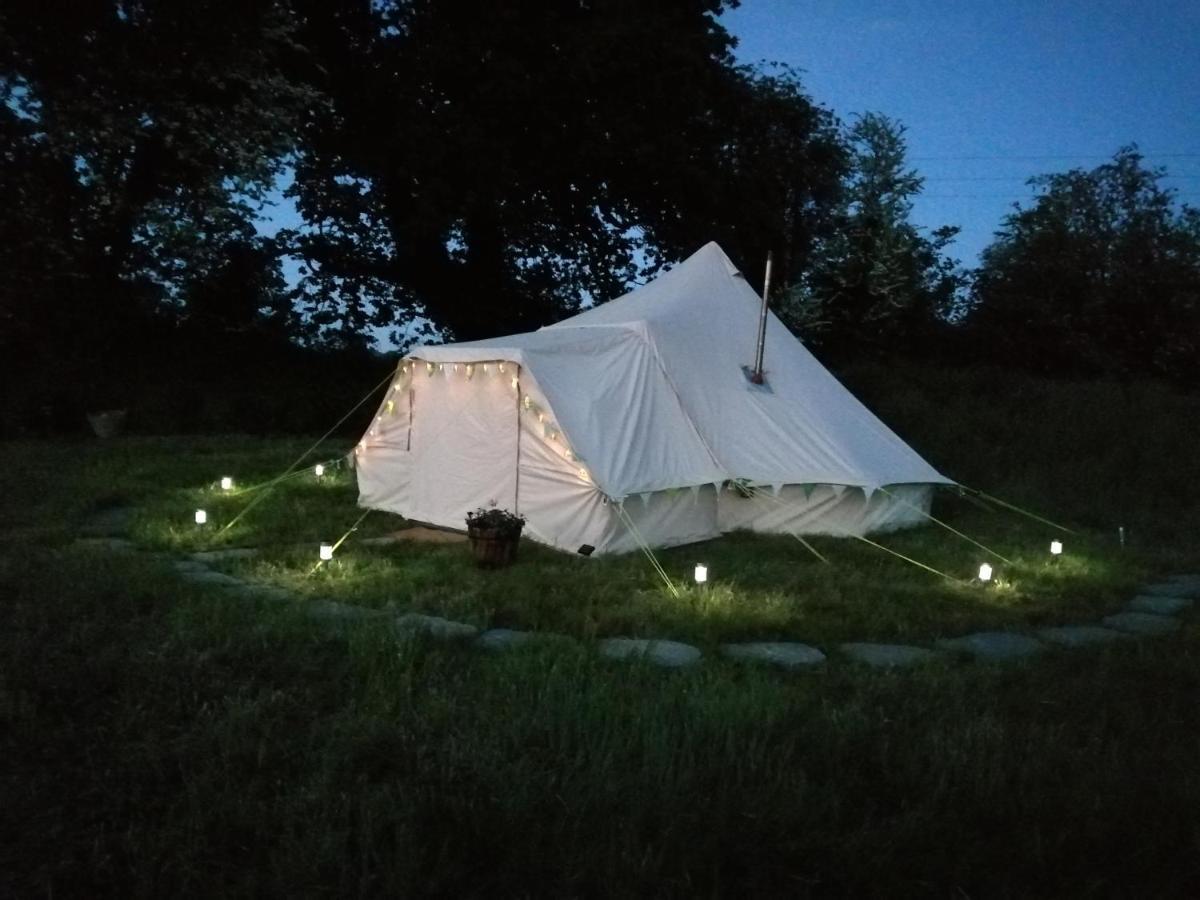 Coed Y Brenin Retreat - Bell Tent Glamping Near Aberaeron Ciliau-Aeron Εξωτερικό φωτογραφία