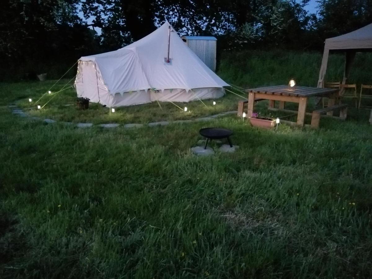 Coed Y Brenin Retreat - Bell Tent Glamping Near Aberaeron Ciliau-Aeron Εξωτερικό φωτογραφία
